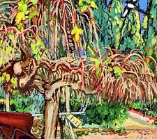 Madness - The Majnun Tree in Winter
