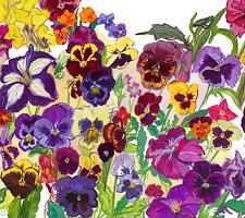 Nowruz: Pansies and the First Flowers of Spring in the Garden of Paradise