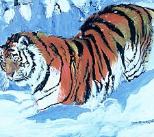 Siberian Tiger In The Snow