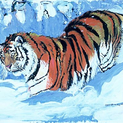 Siberian Tiger In The Snow