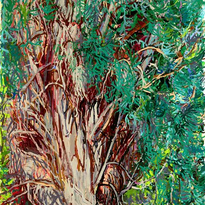 The Heart of the Cypress Tree