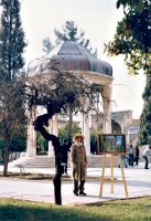 Beautiful Majnun Tree in winter