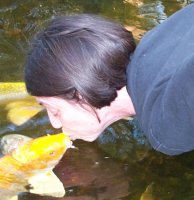 fishKissClose.jpg